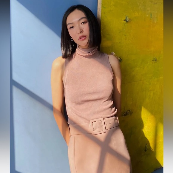 Aritzia Babaton cravan turtleneck - Picture 7 of 7